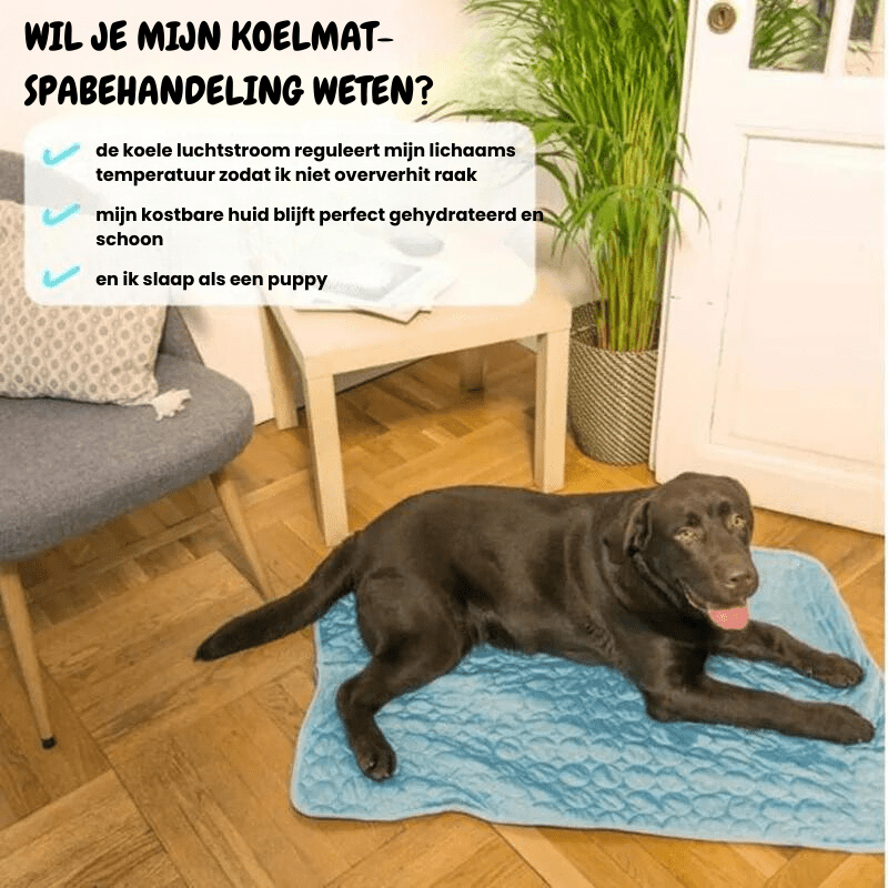 Luna Milis ArcticPaws® Koelende hondenmat